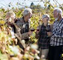 Wohnung zum Kaufen in Eltville am Rhein 598.900,00 € 77.41 m²