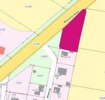 Grundstück zu verkaufen in Biederitz - Königsborn 69.800,00 € 1183 m²