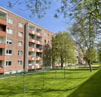 Wohnung zum Mieten in Wernigerode 321,92 € 58.53 m²