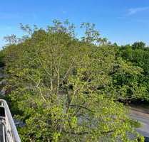 Wohnung zum Kaufen in Münster 595.000,00 € 95.33 m²