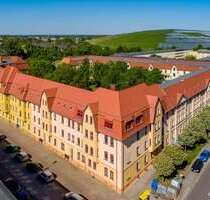 Wohnung zum Mieten in Magdeburg 427,00 € 61 m²