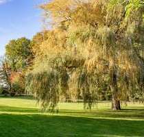 Haus zum Kaufen in Brodersby-Goltoft 440.000,00 € 135 m²