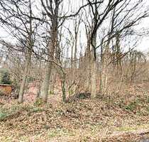 Grundstück zu verkaufen in Windeck 50.000,00 € 2100 m²