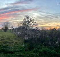 Grundstück zu verkaufen in Aschaffenburg 400.000,00 € 399 m²