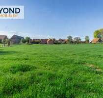 Haus zum Kaufen in Diemelstadt Dehausen 330.000,00 € 342.5 m² - Diemelstadt / Dehausen