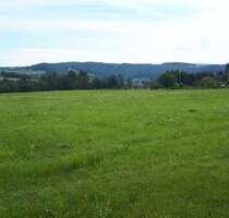 Grundstück zu verkaufen in Elsterberg 75.400,00 € 1004 m²