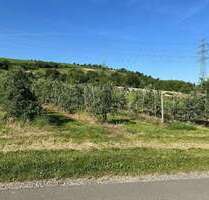 Wohnung zum Kaufen in Weinstadt-Beutelsbach 379.000,00 € 90 m²