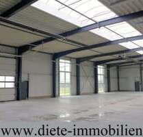 Halle in Schloß Holte 6.900,00 € 1150 m²