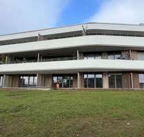 Wohnung zum Mieten in Öhringen 800,00 € 57.22 m²