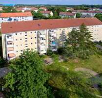 Wohnung zum Mieten in Wolgast 260,00 € 49 m²