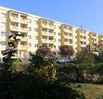 Wohnung zum Mieten in Dessau-Roßlau 295,00 € 41.19 m²