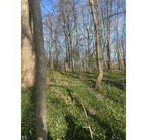 Grundstück in Alsdorf 95.000,00 € 100000 m²