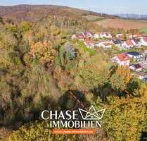 Grundstück zu verkaufen in Hameln Rohrsen 24.000,00 € 1700 m² - Hameln / Rohrsen