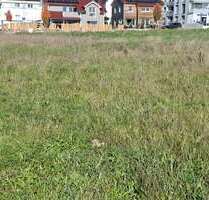 Grundstück zu verkaufen in Schönaich 440.000,00 € 442 m²