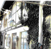 Haus zum Kaufen in Quedlinburg 61.500,00 € 280 m²