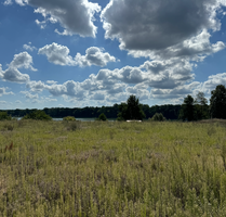 Grundstück zu verkaufen in Templin 61.900,00 € 562 m²