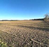 Grundstück in Waltenhausen Hairenbuch 195.000,00 € 32265 m² - Waltenhausen / Hairenbuch