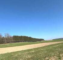 Grundstück in Kirchhaslach Herretshofen 249.000,00 € 54883 m² - Kirchhaslach / Herretshofen