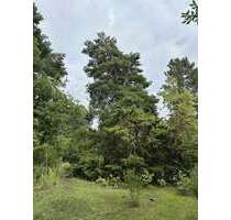 Grundstück zu verkaufen in Berlin 399.000,00 € 1022 m²