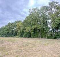 Grundstück in Groß Gottschow 75.000,00 € 43185 m²