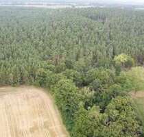 Grundstück zu verkaufen in Groß Gottschow 75.000,00 € 43185 m²