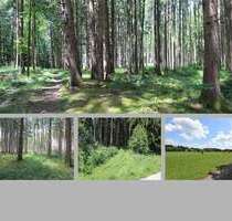 Grundstück zu verkaufen in Dießen a. Ammersee 68.000,00 € 7980 m²