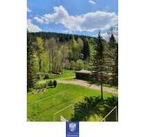 Wohnung zum Mieten in Rechenberg-Bienenmühle 335,00 € 67 m²