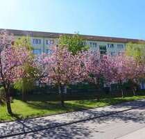 Wohnung zum Mieten in Limbach-Oberfrohna 245,00 € 46.49 m²