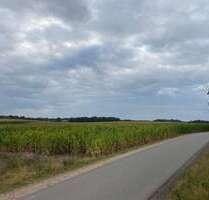Grundstück in Lockwisch 80.900,00 € 31000 m²