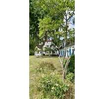 Haus zum Kaufen in Dangenstorf 495.000,00 € 345 m²