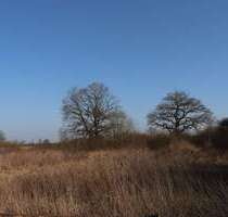 Grundstück in Schleswig 350.000,00 € 3500 m²