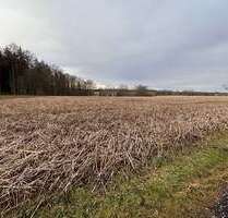 Grundstück in Buch-Christertshofen 247.000,00 € 30478 m²