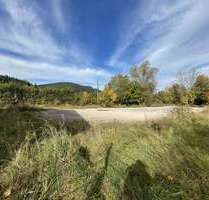 Grundstück in Baiersbronn 416.000,00 € 2969 m²