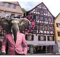 Haus zum Kaufen in Tübingen 1.250.000,00 € 273.16 m²