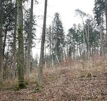Grundstück in Weigendorf 58.000,00 € 24810 m²