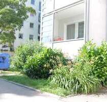 Wohnung zum Mieten in Chemnitz 250,00 € 34.9 m²