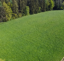 Grundstück in Vilsheim 146.000,00 € 13900 m²