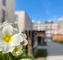 Wohnung zum Mieten in Leipzig 797,50 € 50.53 m²