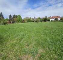 Grundstück zu verkaufen in Daiting 99.000,00 € 830 m²