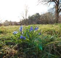 Grundstück zu verkaufen in Märkische Heide 75.000,00 € 850 m²
