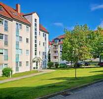 Wohnung zum Mieten in Freiberg 245,00 € 34.91 m²