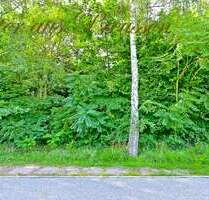 Grundstück zu verkaufen in Schönow 460.000,00 € 1000 m²