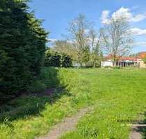 Grundstück zum Mieten in Bitterfeld 3.000,00 € 1170.6 m²