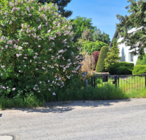 Grundstück zu verkaufen in Schönwalde-Glien 500.000,00 € 1626 m²