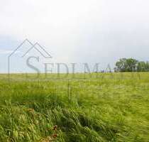 Haus zum Kaufen in Seefeld 1.430.000,00 € 245 m²