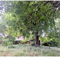 Grundstück zu verkaufen in Berlin 860.000,00 € 1334 m²