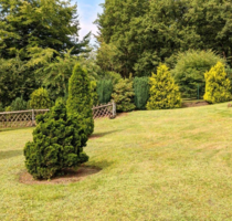 Grundstück zu verkaufen in Gummersbach 99.900,00 € 590 m²