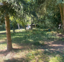 Grundstück zu verkaufen in Rangsdorf 457.000,00 € 1300 m²