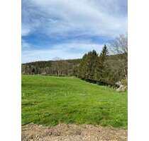 Grundstück zu verkaufen in Roetgen Rott 649.000,00 € 4189 m² - Roetgen / Rott