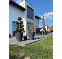 Haus zum Kaufen in Bassenheim 484.261,00 € 137 m²